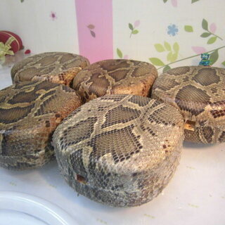 新品未使用゜12.000円 金襴胴巻、黒檀爪、松脂付き 蛇皮強化(二