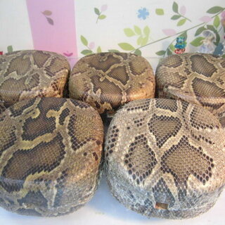 新品未使用 12.000円 蛇皮強化(二重張)型チーガ、松脂、紫檀爪、