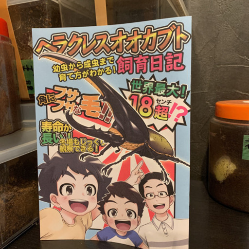 ヘラクレスオオカブト飼育日記 外国産カブトムシ 八尾のその他の中古あげます 譲ります ジモティーで不用品の処分