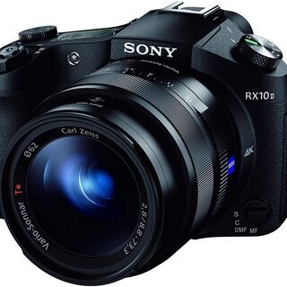 【お気軽に！】SONY RX10m2 30分録画制限解除済み 予...