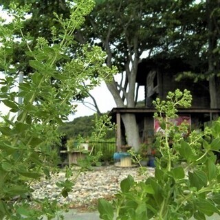 心も体もリラックスして癒されます◎大地からの素敵な贈り物★ハーブ...