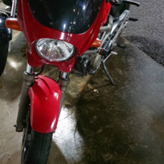 VTR250