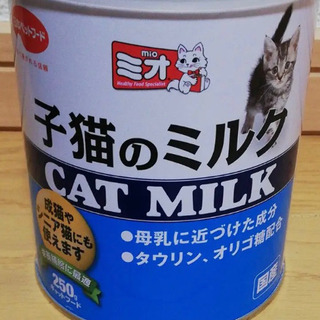 子猫用 ミルク と 離乳食