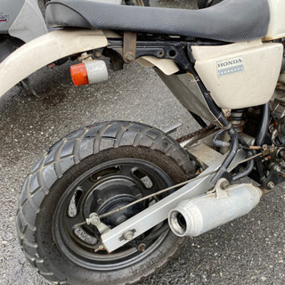 HONDA エイプ-50 AC16-110 実動 福岡市南区