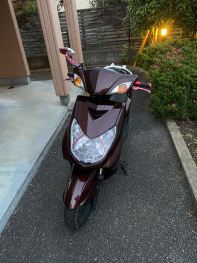 シグナス