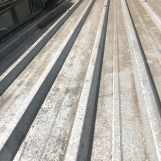 大型犬用　犬舎