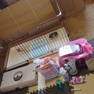 小型・中型犬用の室内飼い用品1式 小型・中型犬用の室内飼い用品1式 【公式通販】