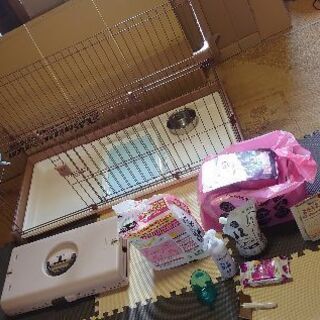 小型・中型犬用の室内飼い用品1式