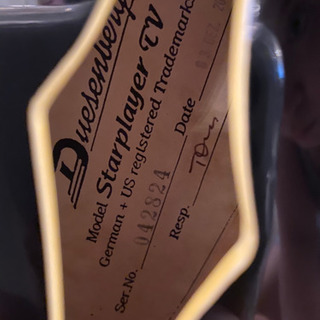 Dusenberg Starplayer TV ギター