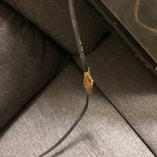 ネオン管　Carlsberg カールスバーグ