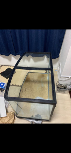 お値下げしました。レアサイズ 湾曲ガラス水槽