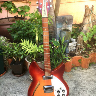 Rickenbacker   Model 330 /代理出品