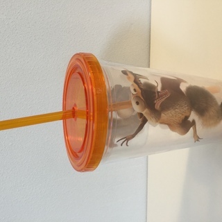 中古アイスエイジが無料 格安で買える ジモティー