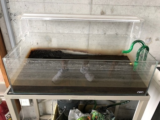 アクアデザインアマノ　水槽　セット