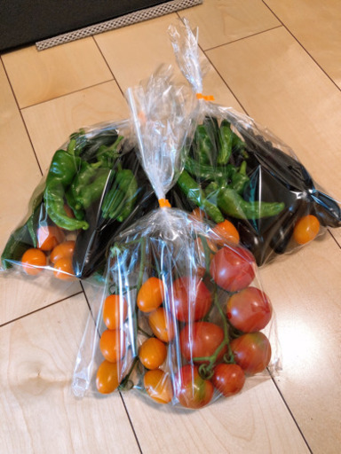 7 11 夏野菜 トマトをお譲りします 無農薬新鮮野菜 はせがわ 相模原の食品の中古あげます 譲ります ジモティーで不用品の処分 7 11 夏野菜 トマトをお譲りします 無農薬新鮮野菜 はせがわ 相模原の食品の中古あげます 譲ります ジモティーで不用品の処分