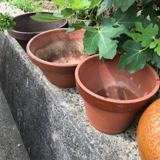 盆栽鉢、植木鉢など大量