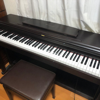 KORG concert Ｃ505（カルゴ） - 家具