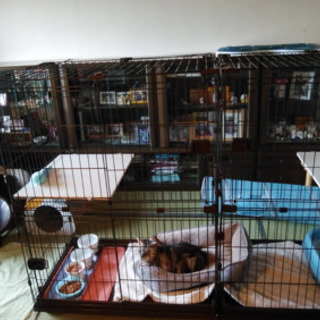 猫用ゲージ／ペットゲージ