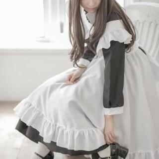 アニメ、フィギュア、メイド服 好きな人