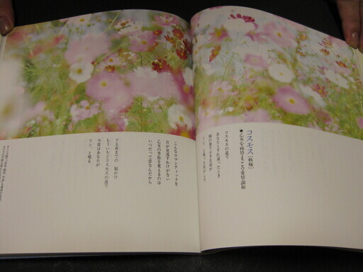 花言葉恋色のブーケ道行めぐ著 バーバラ 西九条の文芸の中古あげます 譲ります ジモティーで不用品の処分