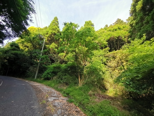 御宿2433坪国定公園太平洋徒歩１分好立地公益財団法人海洋生物環境研究所に隣接有名な ドン ロドリゴ上陸の地 すぐそば民宿や釣り拠点に最適地 みちこパパ 御宿の土地販売 土地売買の不動産 住宅情報 無料掲載の掲示板 ジモティー