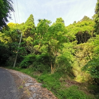 御宿2433坪　国定公園　太平洋徒歩１分好立地　公益財団法人海洋...