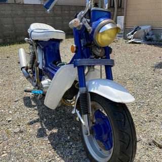 ホンダ シャリー CF50エンジン、ガブモンキーDAXシャリィキタコ 格安