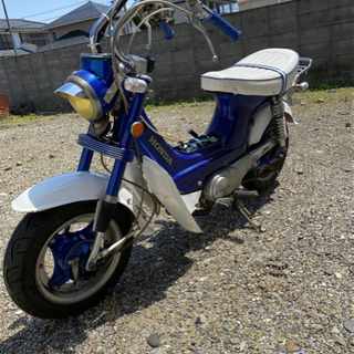 ホンダ シャリー CF50エンジン、ガブモンキーDAXシャリィキタコ 格安