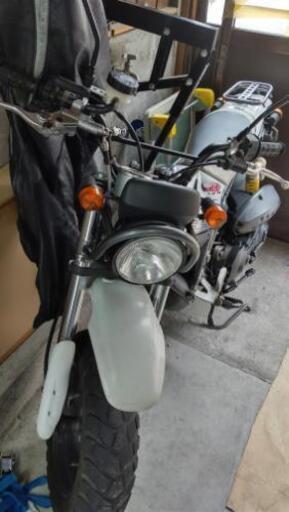 スズキ ストリートマジック50Ⅱ（SUZUKI STREET MAGIC 50Ⅱ）