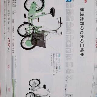 丸石サイクル 成人用三輪自転車「サンデーラブリー」SLA-B 緑系パール