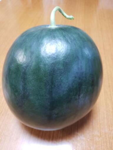 2l黒皮西瓜あります 種が少なく食べやすいです すいか屋さん 芝山千代田の食品の中古あげます 譲ります ジモティーで不用品の処分