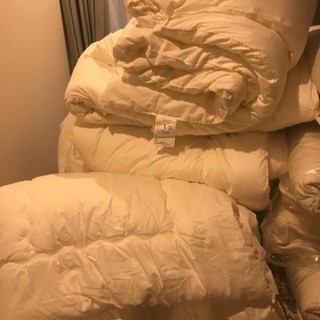 あの有名な大東寝具です！ダブルサイズ綿の布団セール！一つ1000円！