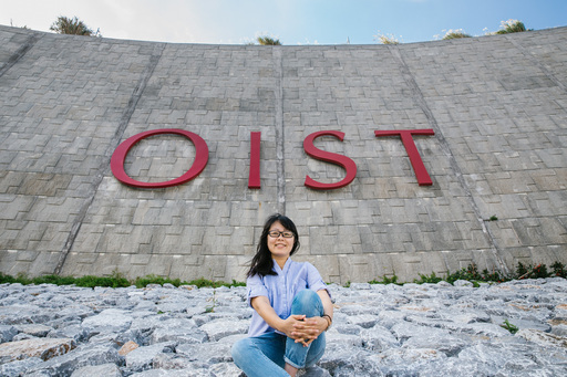 英文事務 パート 4d062 監事室の翻訳や通訳 フォーディー 国頭の秘書の無料求人広告 アルバイト バイト募集情報 ジモティー