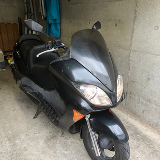 FORZA フォルツァ　MF08前期　乗って帰れます FORZA フォルツァ MF08前期 乗って帰れます