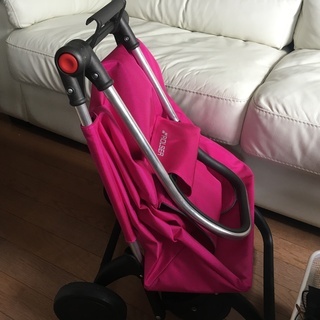 その他 ロルサーのショッピングカート 四輪 折り畳み可能 耐荷重20Kg 