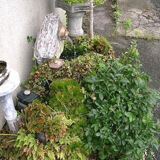 大きな石臼、灯篭 岩松 すべて売ります。