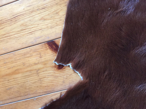 カウラグ大判牛革ラグ | hornnes.no