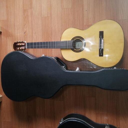 ネット限定】 値下げ 稀少 アコースティックギター ARIA SW-8 単板 