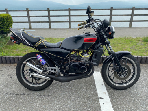RZ250 シート | cumbiafilms.com