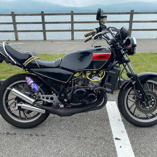 RZ250 シート | apeepr.com.br