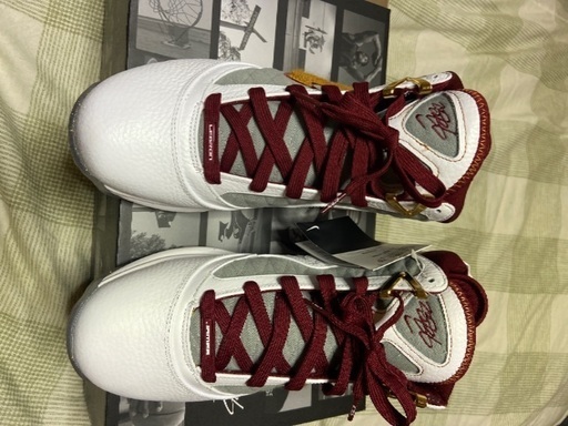 急な出費の為仕方がなく売ります。NIKE REBRON 7 MVP
