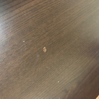 ニトリ ショップ こたつセット ダークブラウン 木目調