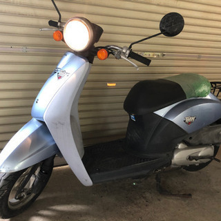 8157 ホンダ トゥデイ AF61 実動 良好 整備済み 原付バイク 8157