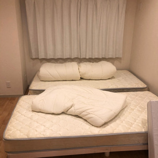シングルベッド　2つ