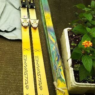 黄緑スキー板のみ   子供から小柄の大人用