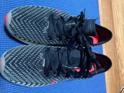 NIKE ズームペガサスターボ2 26.5cm | www.cf2001.it