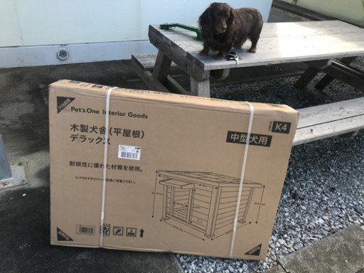 犬小屋(¥8000円)