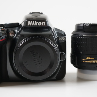 【カメラ】展示美品 ニコン(Nikon) D5300 AF-S/...