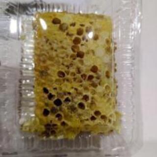 日本蜜蜂の巣蜜③