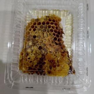 日本蜜蜂の巣蜜④